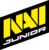 Natus Vincere logo